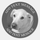 Search for minimalist dog stickers Photography