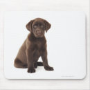 Search for chocolate labrador mousepads Cute