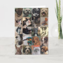 Search for dog painting cards Cat