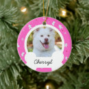 Search for bone christmas tree decorations Dogs