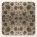 Search for fossil coasters Stone