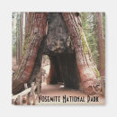 Search for tunnel magnets California