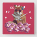 Search for fox clocks Cool