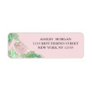Search for sloth return address labels Rainforest