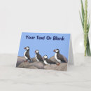 Search for seabird cards Birds