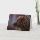 Search for scotia cards Puppy
