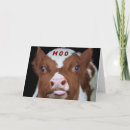 Search for cow christmas cards Calf
