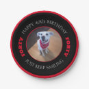 Search for smiling dog Funny