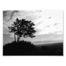 Search for black and white tree silhouette art Nature
