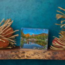 Search for danita delimont plaques Pine tree