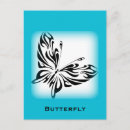 Search for pretty blue butterflies postcards Insect