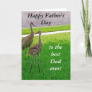 Search for cranes cards Sandhill crane