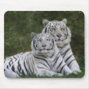 Search for bengal tiger mousepads Cat