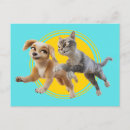 Search for pedro postcards Animated movie
