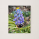 Search for hyacinth puzzles Flowers