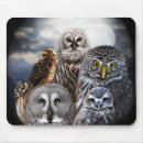 Search for nocturnal mousepads Bird