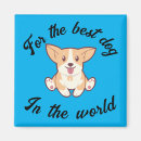 Search for veterinarians magnets Pet