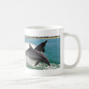 Search for bottlenose dolphin mugs Dolphins