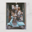 Search for funny dog picture postcards For pets