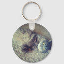 Search for long key rings Pets