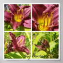 Search for assortment art Nature