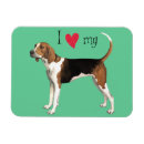 Search for walker magnets Treeing walker coonhound