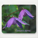 Search for clematis mousepads Floral
