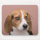 Search for beagle dog mousepads Dogs