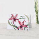 Search for edwardian cards Pink