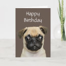 Search for pug quotes Happy