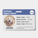 Search for therapy dog Medical