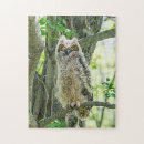 Search for birds of prey puzzles Animal