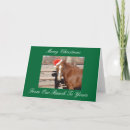 Search for ranch christmas cards Horse