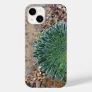 Search for succulent plants iphone cases Desert