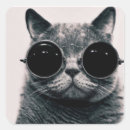 Search for look good stickers Cat