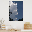 Search for fluffy white posters Nature