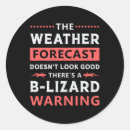 Search for lizard funny stickers Reptile
