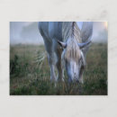 Search for selective focus postcards Photography