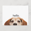 Search for funny beagle postcards Pets
