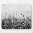 Search for waterscapes mousepads Seascapes