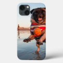 Search for play cases Dog