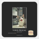 Search for prozac I can has cheezburger