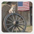 Search for kitten stickers Cat