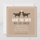 Search for golden retriever weddings Couple