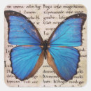 Search for morphos stickers Insect