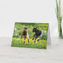 Search for 10th for grandson birthday cards Nephew