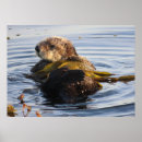 Search for otter art Wildlife
