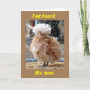Search for chicken birthday cards 80th