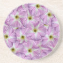Search for weed kitchen dining Flower