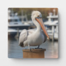 Search for boat plaques California